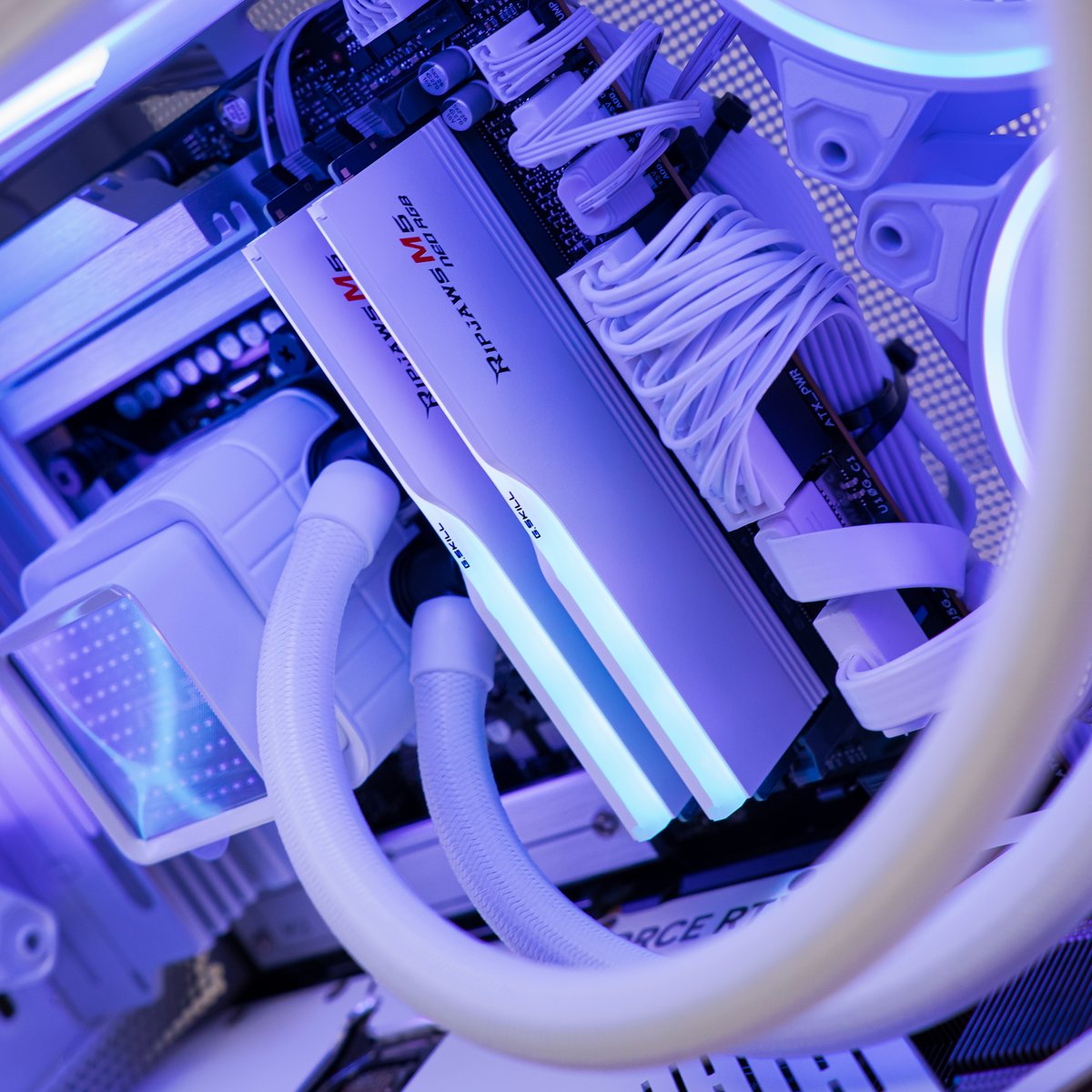 Introducing The Eclipse Ready to Go PC.
A stunning blend of white, blue, and purple.
Performance that shines 💜💙

Specs 👇
🎮 ZOTAC Gaming GeForce RTX 5080 GPU
⚡ Intel Core Ultra 7 265K CPU
🌈 32GB G.Skill Ripjaws DDR5 RAM
📦 2TB Lexar NQ790 Gen4 SSD

Learn More 👉