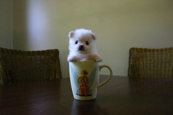 Oh… Hey… Feel Like Taking A Sip? Haha… Drink me… Wait umm.. Haha noooo don’t drink me