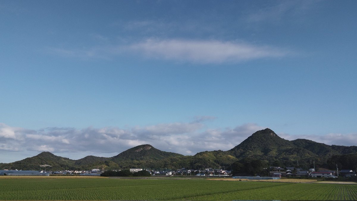 酒呑みたぬき on X