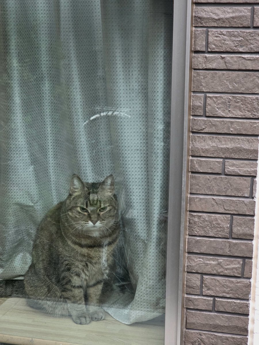 みーちゃん on X