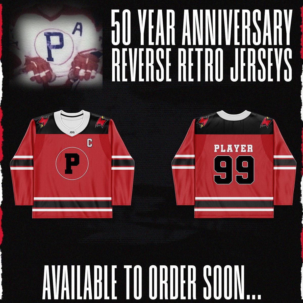 Plattsburgh State Men's Hockey tweet media