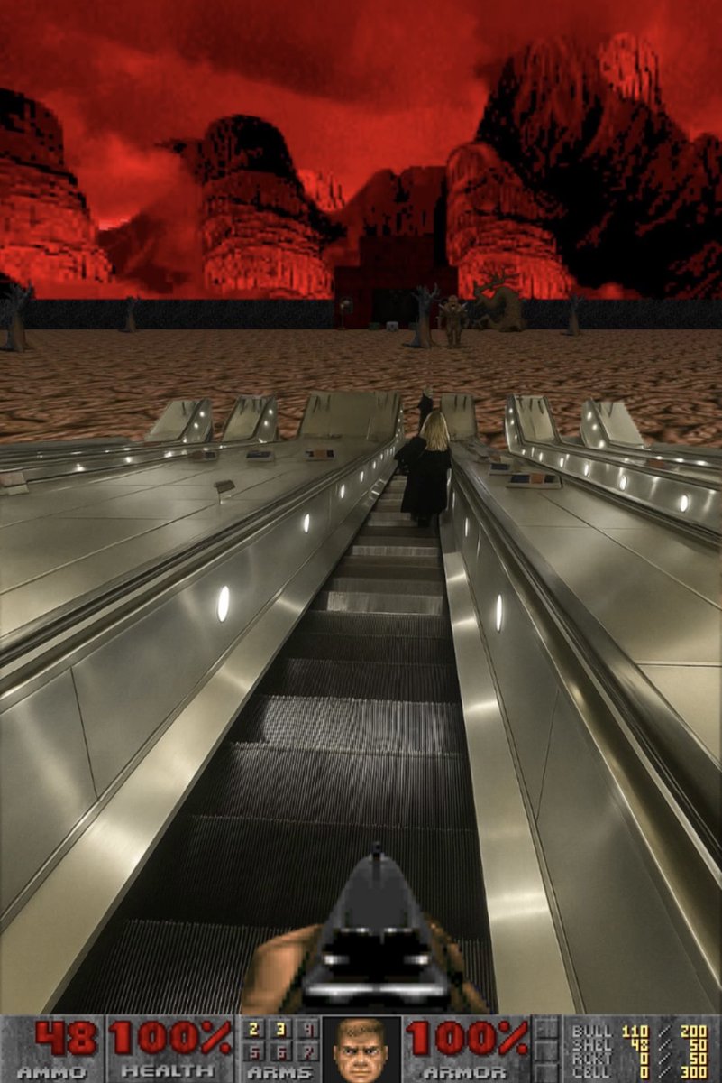FittingDoomIMGs's tweet image. how a DOOM player sees the world