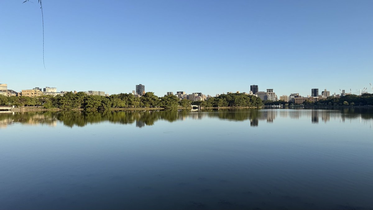 濠河 最新】濠河風景名勝区 - チケット、営業時間、口コミ、写真 [2025年