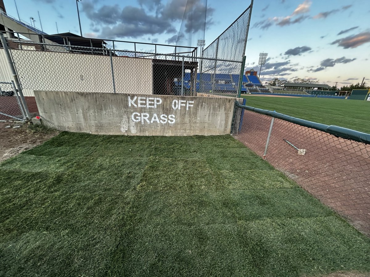 Will Cole CTP tweet media