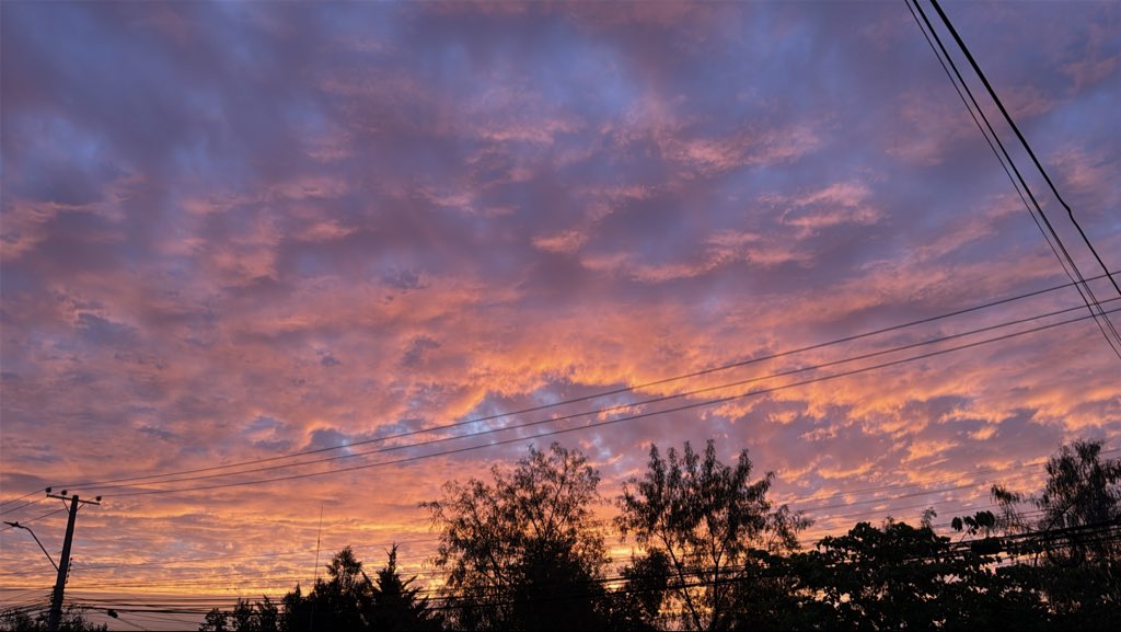 _catalinacm's tweet image. Post entrenar y el cielo así 😍