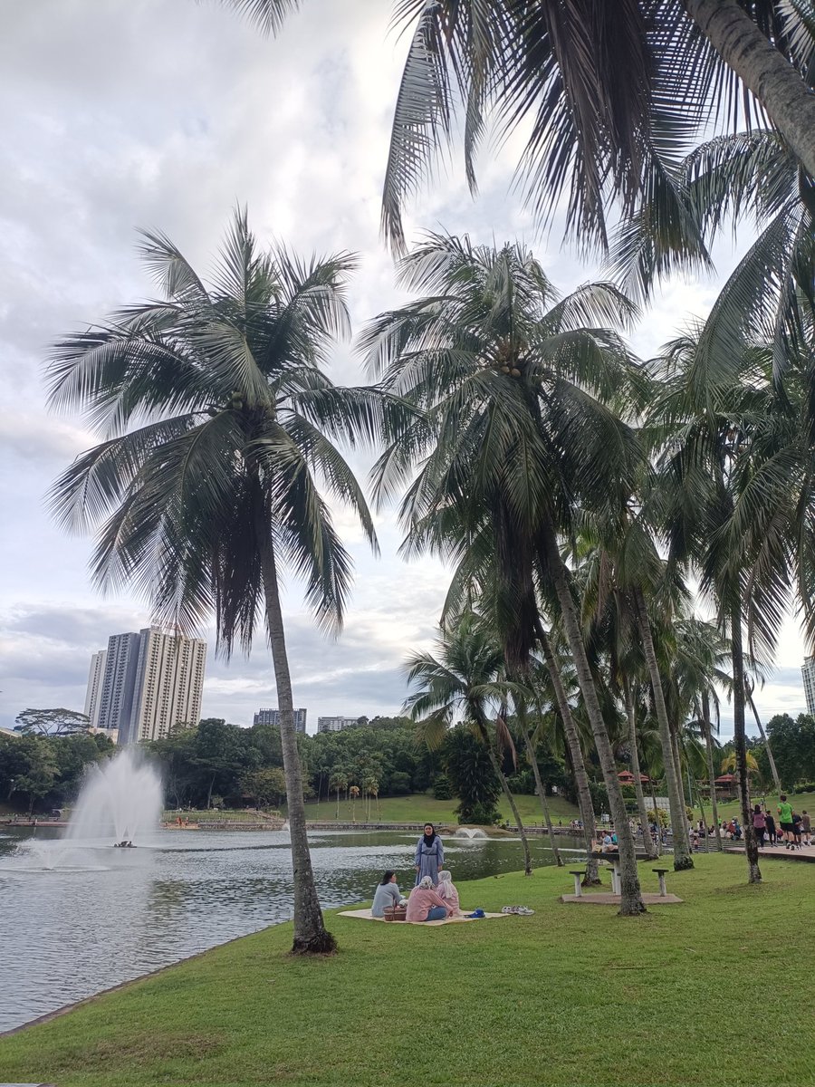 nibzbabs's tweet image. The lake in front of my campus is surprisingly big and so pretty 🦢🫶🏻
