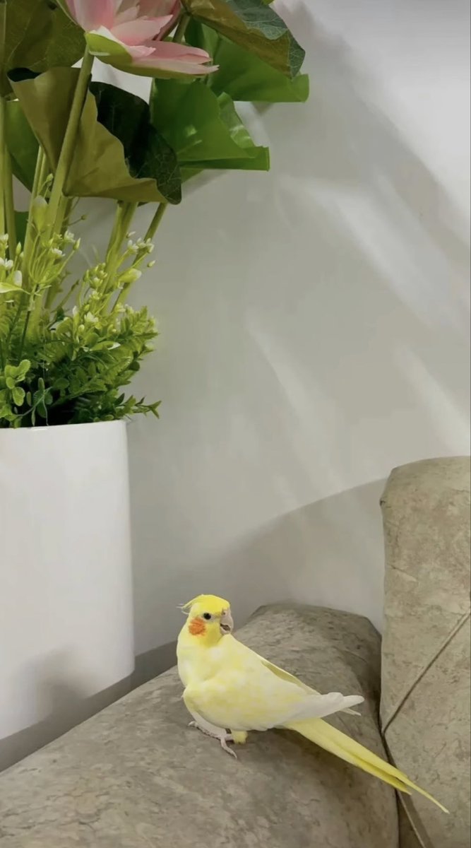 co___14's tweet image. كم هو جميل
عندما ترسل كلمات يراها البعض جميلة . ويراها البعض الآخر معبرة .
و يراها آخرون أنها لهم
#اوفيا_لسعادتكGp
#اصدقاء_حلا_للتبادل
#الطنايا_للاضافات
#ملوك_العالمي