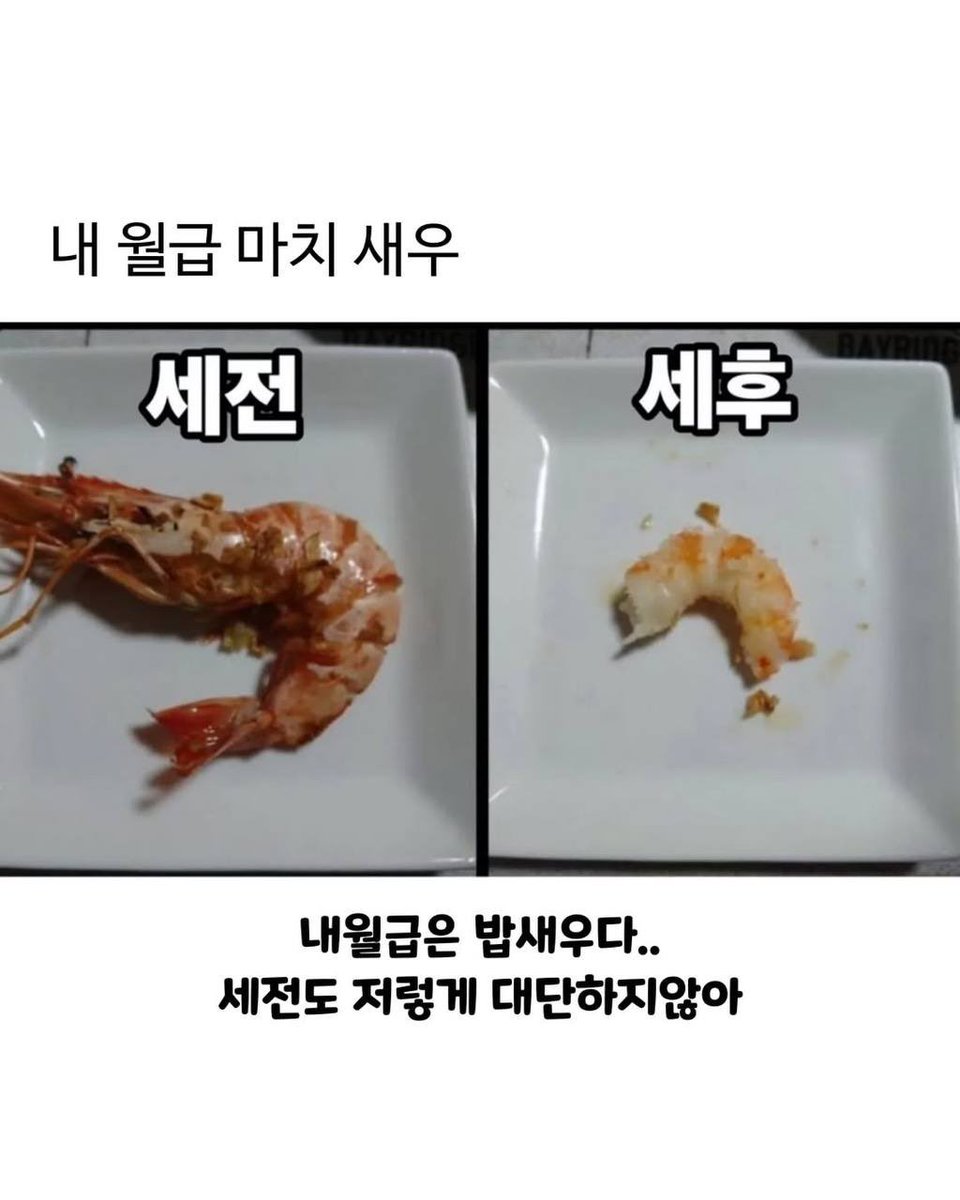 King_James_Kim's tweet image. 