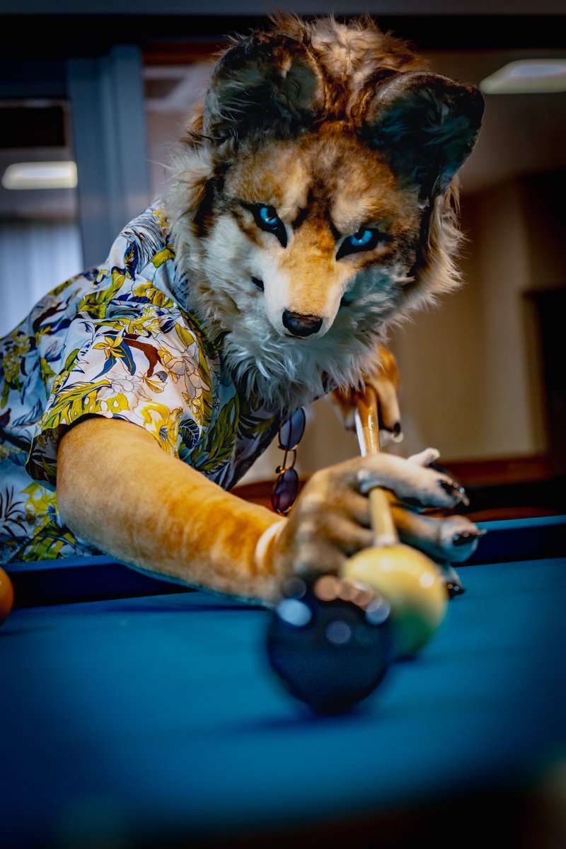 ビリヤードできます🎱

📸 <a href="/LycaonRider/">アキト→Kemocon</a>