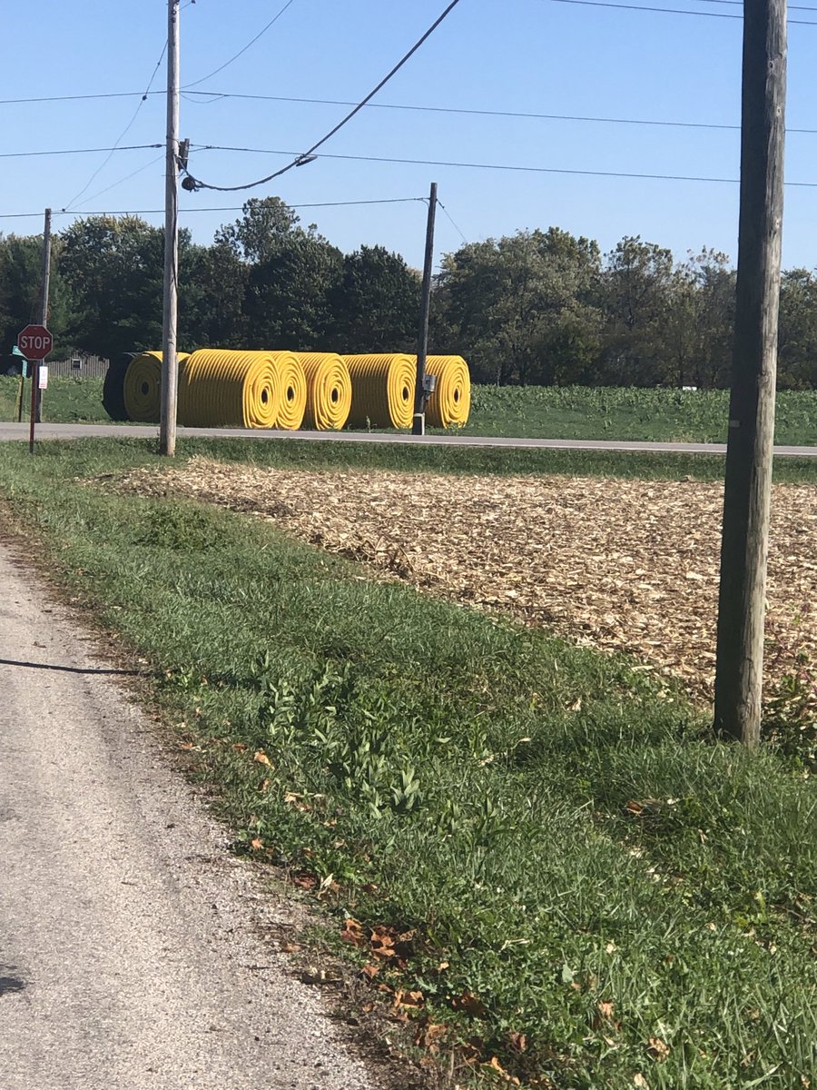 Terry The Kurmudgen tweet media