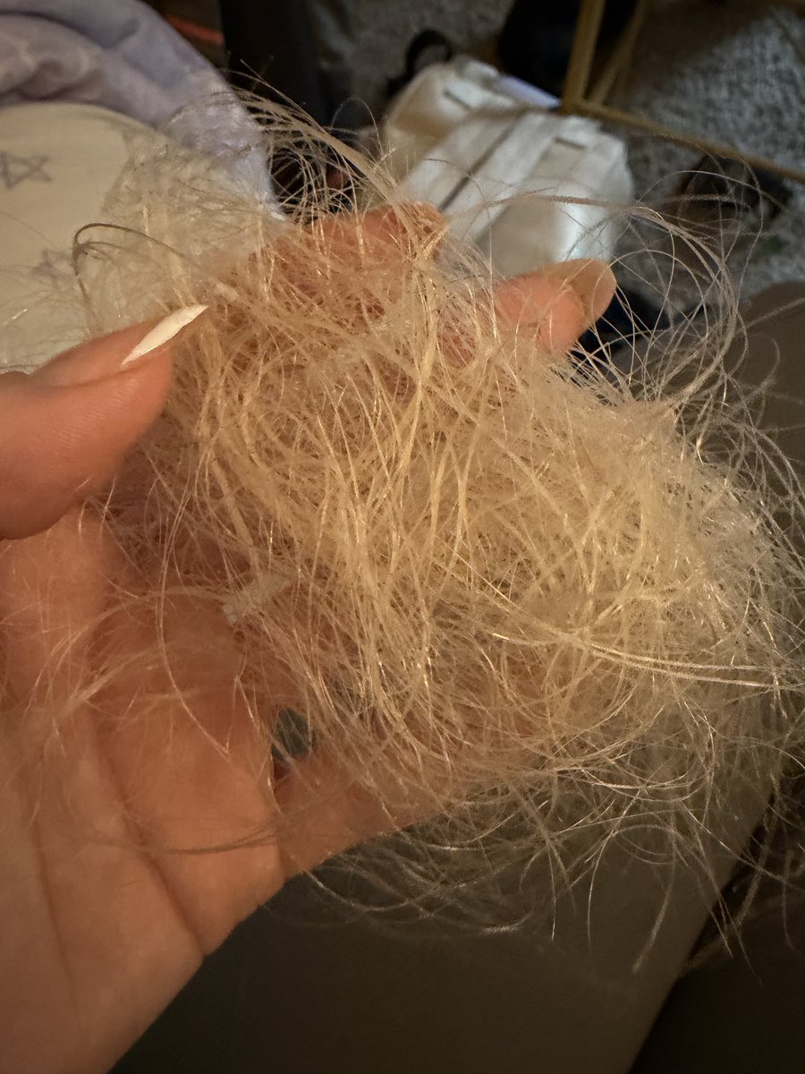 Muffin (Relapsed era) tweet media