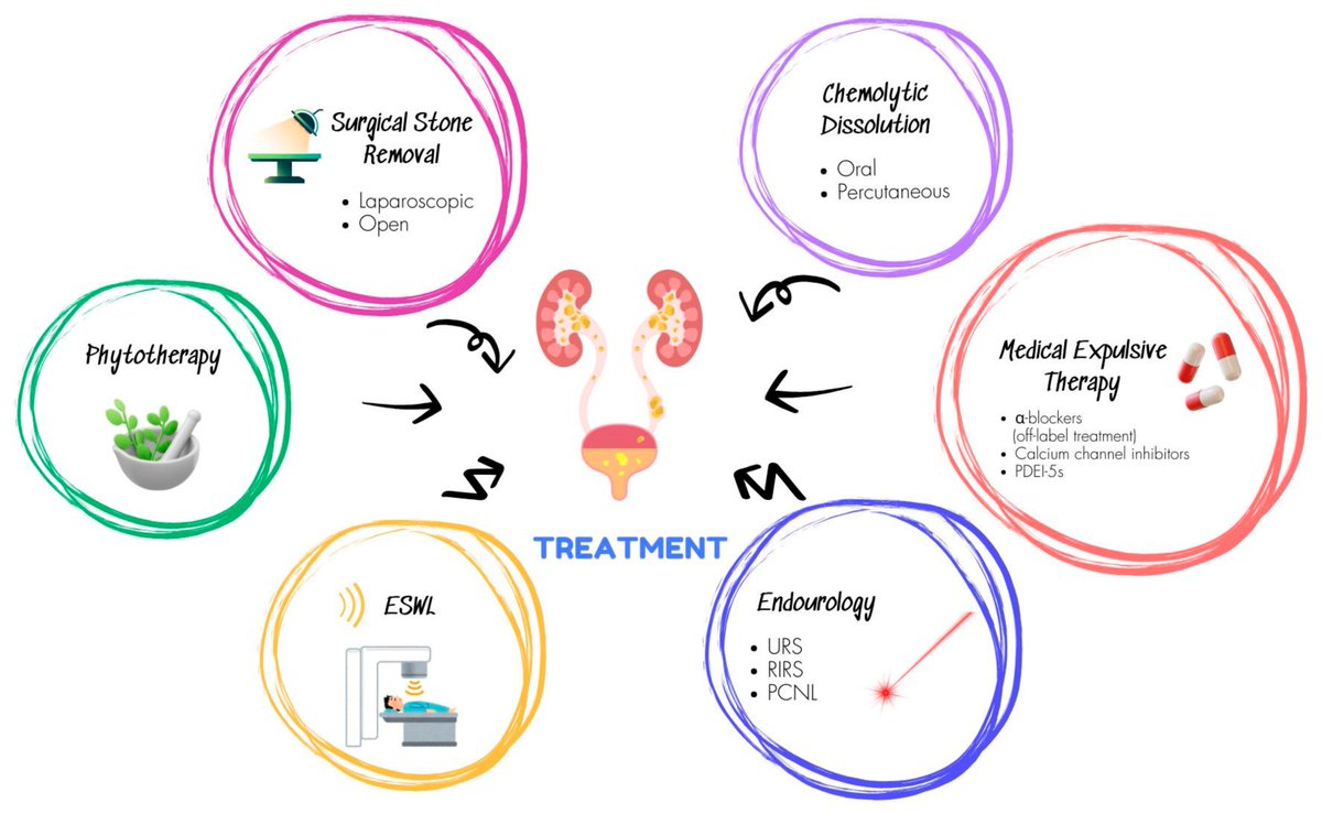 #mdpijcm
#OpenAccess 🔓
Enjoy the new #review ✅ Citations 1
#Phytotherapy in #Urolithiasis: An Updated Overview of Current Knowledge 
🎯mdpi.com/3279930
✍️Petros Sountoulides et al. <a href="/sountp/">Petros Sountoulides</a>  <a href="/Auth_University/">Aristotle University of Thessaloniki</a> 
<a href="/MediPharma_MDPI/">MDPI Medicine & Pharmacology</a>