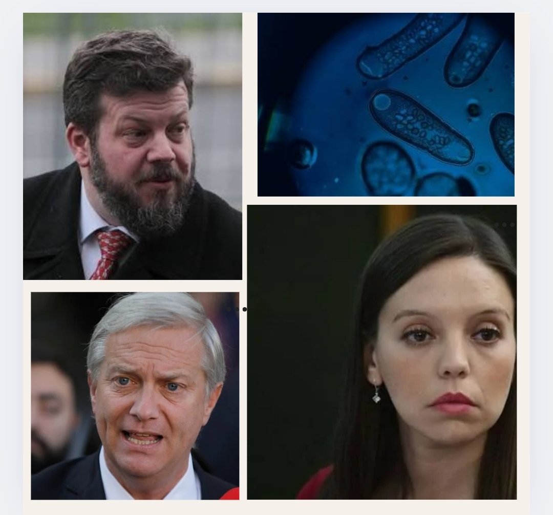 ¿Quienes son los parásitos? Falto a la pega/descuento. <a href="/Cami_FloresO/">Camila Flores Oporto 🇨🇱</a> marca entrada a  sesión del parlamento y luego se retira. La ultra derecha desprecia a los trabajadores del Estado,pero buscan cobrar sueldo sin trabajar. !Que parlamentarios ganen como un profesor !No + abuso!