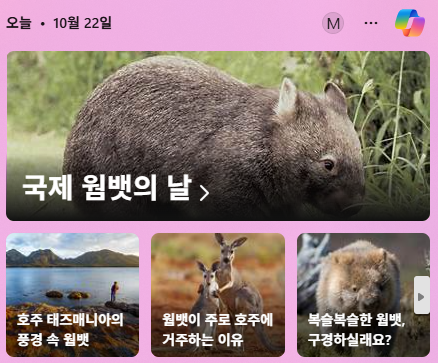 국제 웸뱃의 날 이래요^^;