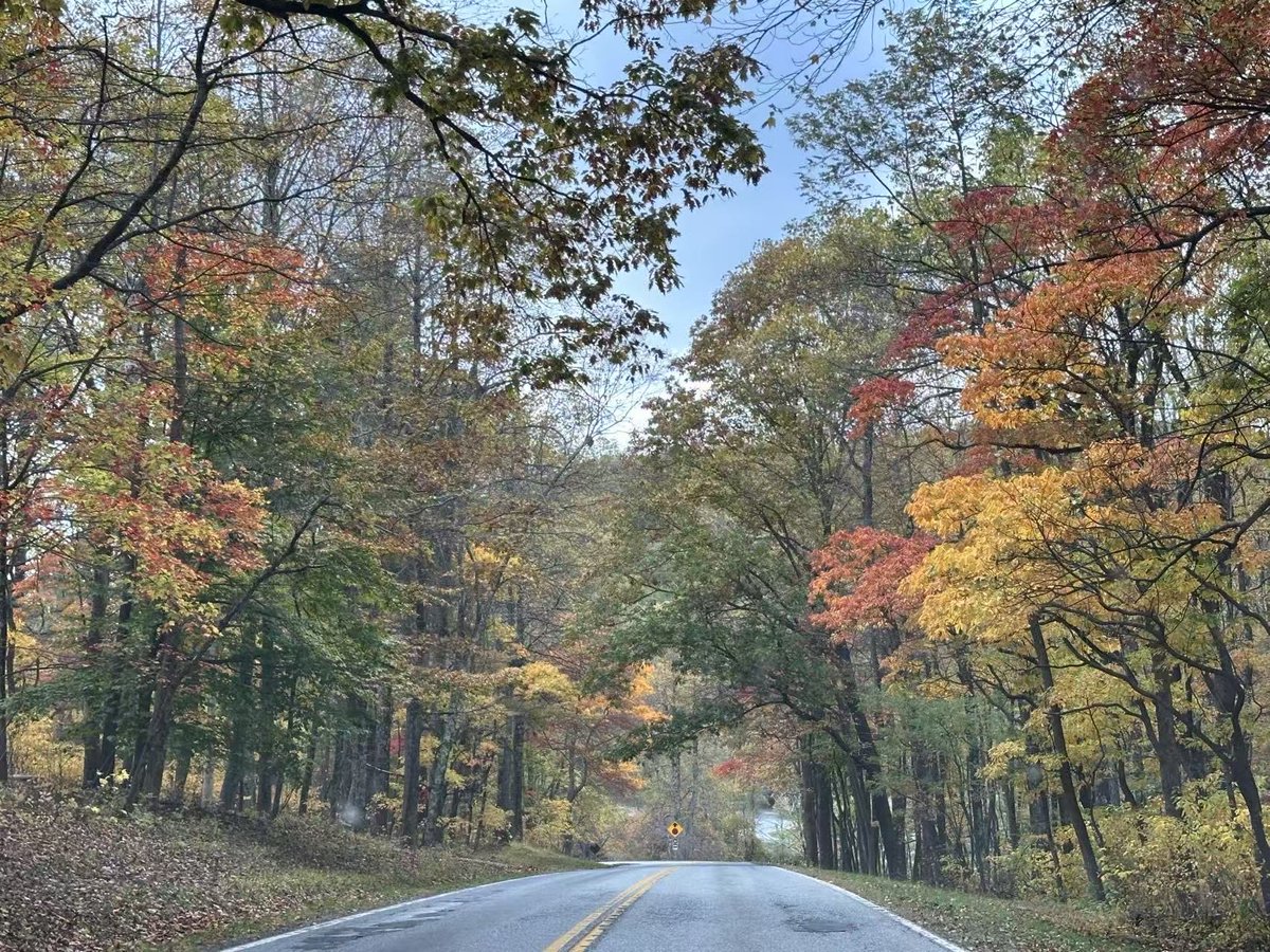 Endo1W's tweet photo. Fall color in beautiful blue ridge mountains, Virginia https://t.co/RTsFs5MQHi