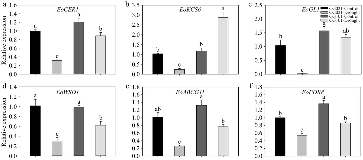 #GrassResearch #DroughtTolerance #Turfgrass #CuticularWax
Drought-tolerant 'CG101' has better water retention via higher cuticular wax content/composition and wax metabolism gene expression than 'CG021'.
<a href="/MaximumAcademic/">Maximum Academic</a> <a href="/AbioticStress/">Abiotic stress in plants (Green Survivors)</a>
Details: maxapress.com/article/doi/10…
