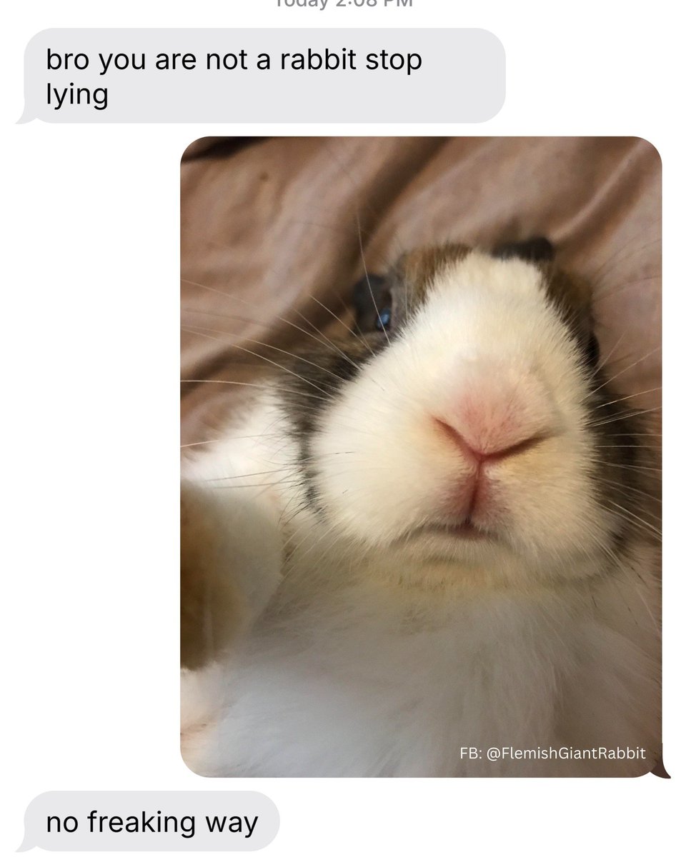 713Xtr0py's tweet image. 