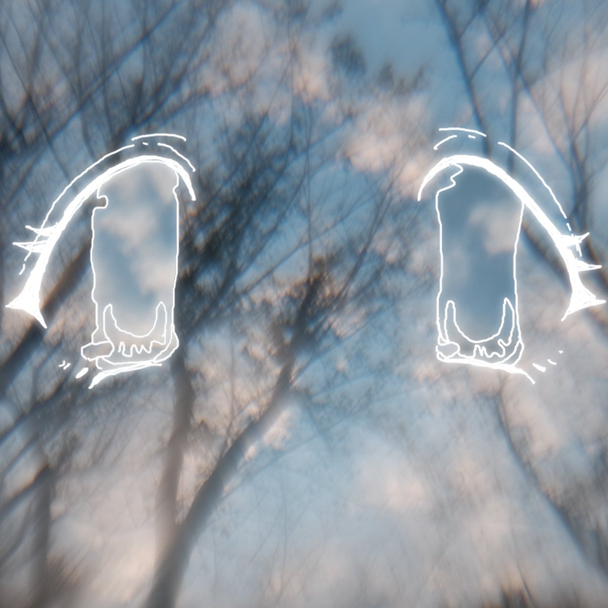 ɴᴀʀᴜᴇ (@narue_496) on Twitter photo 