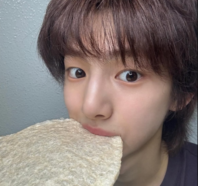 cortis_ol's tweet photo. 쮸옵 데뷔 직후엔 커척하는 사진 많이 올렸는데 요즘은 실체가 드러나서 그런지 편하게 걍 개비의매직하우스ㅌㅊ 사진만 올리심 https://t.co/ZBePmzoGiY