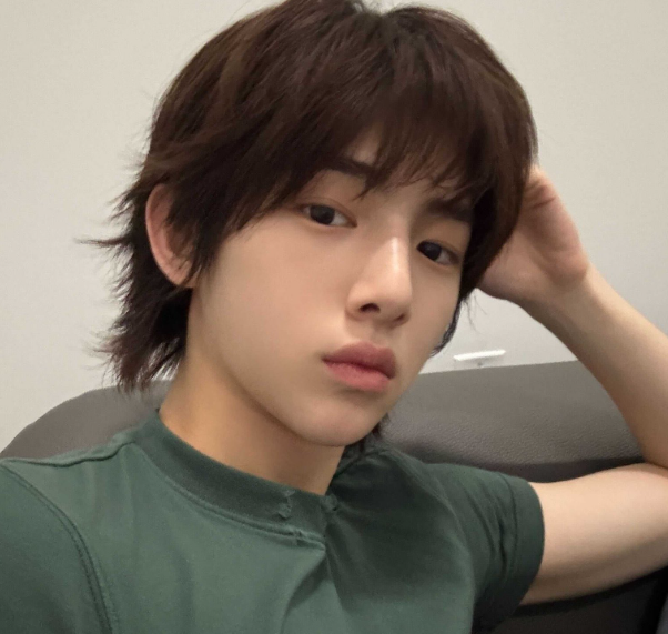 cortis_ol's tweet photo. 쮸옵 데뷔 직후엔 커척하는 사진 많이 올렸는데 요즘은 실체가 드러나서 그런지 편하게 걍 개비의매직하우스ㅌㅊ 사진만 올리심 https://t.co/ZBePmzoGiY