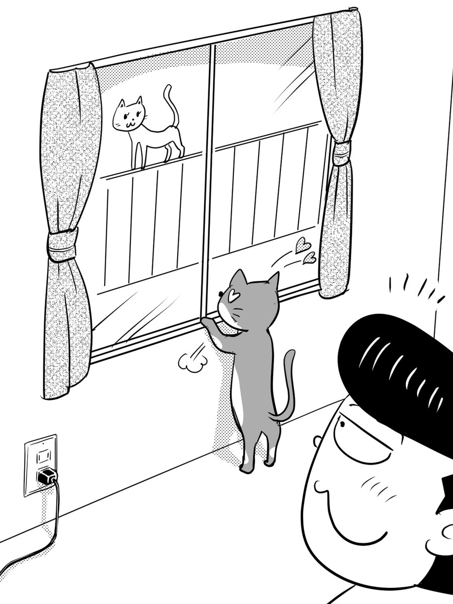 愛猫おむすびの初恋現場を目撃したぜ。

#初恋の日 