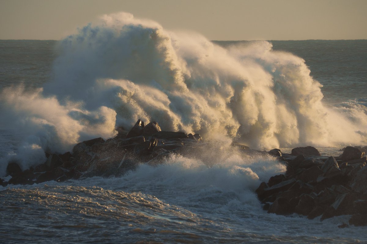 Life is inherently short, finite, and fragile. 

Take time to call your family members, make plans with your friends. 

One day, it will be the last conversation. 

In a world where everything is on fire, choose love.