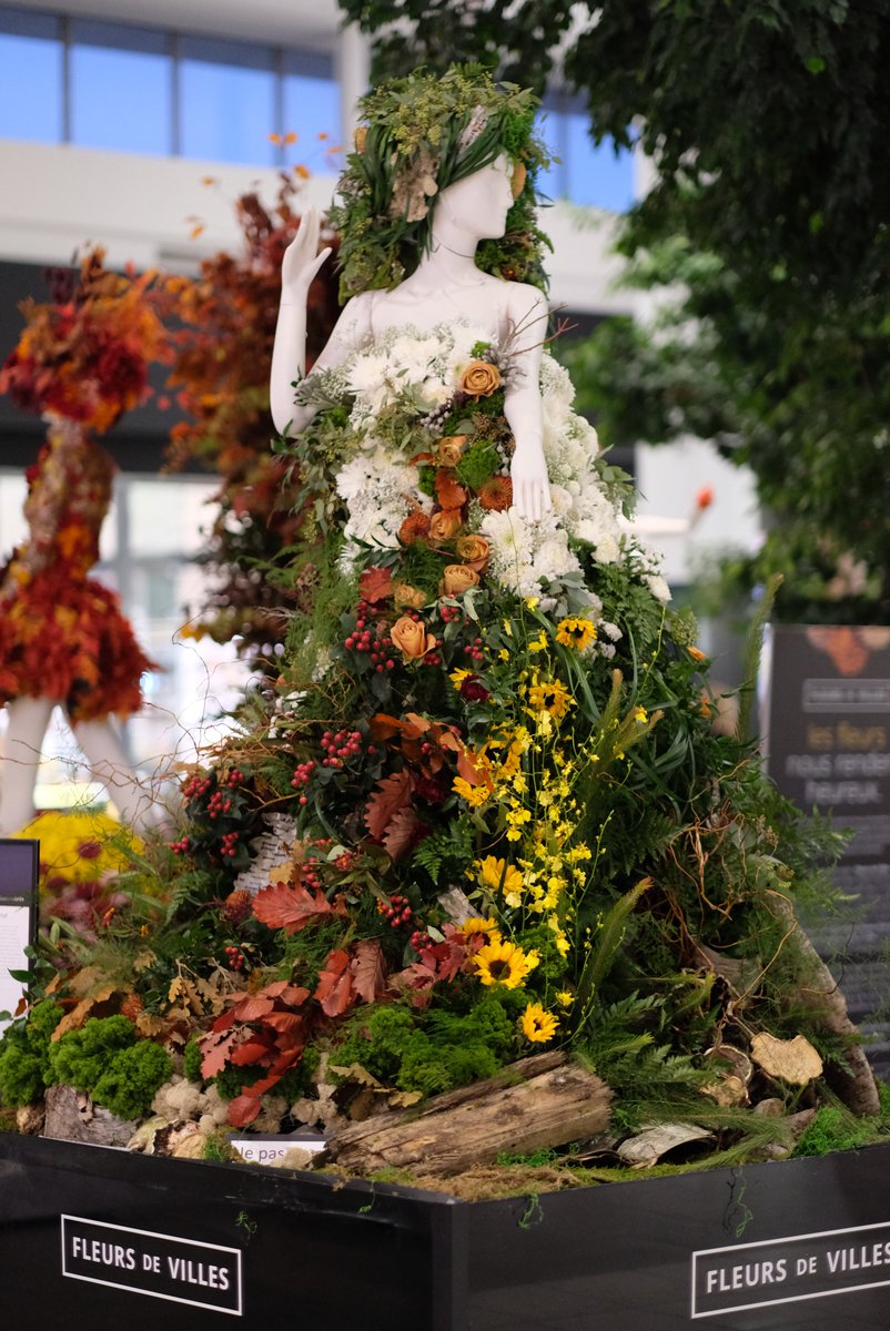 DLVisionMode's tweet image. Fleurs de Villes revient à @PlaceSteFoy pour la première canadienne d&apos;AUTOMNE. Cette exposition florale est magnifique et elle est à voir jusqu&apos;au 26 octobre prochain !
#FleursdeVilles #Quebec #PlaceSteFoy #DLVisionMode 
placestefoy.com/events/exposit…