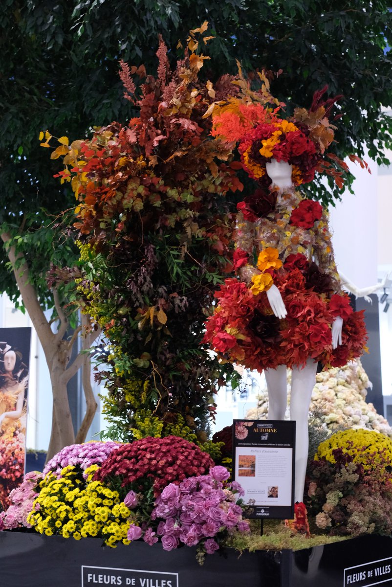 DLVisionMode's tweet image. Fleurs de Villes revient à @PlaceSteFoy pour la première canadienne d&apos;AUTOMNE. Cette exposition florale est magnifique et elle est à voir jusqu&apos;au 26 octobre prochain !
#FleursdeVilles #Quebec #PlaceSteFoy #DLVisionMode 
placestefoy.com/events/exposit…