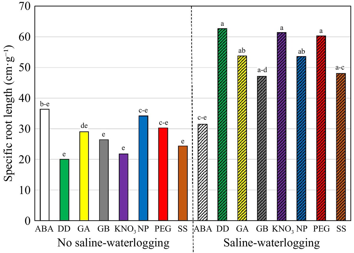 #GrassResearch #KentuckyBluegrass #ABA #SaltTolerance
🌱: ABA priming boosts KBG's salinity and saline-waterlogging tolerance; 'Award' outperforms 'Moonlight', but priming fails in waterlogging.
<a href="/MaximumAcademic/">Maximum Academic</a> <a href="/AbioticStress/">Abiotic stress in plants (Green Survivors)</a> <a href="/NDSU/">North Dakota State University</a>
Details: maxapress.com/article/doi/10…