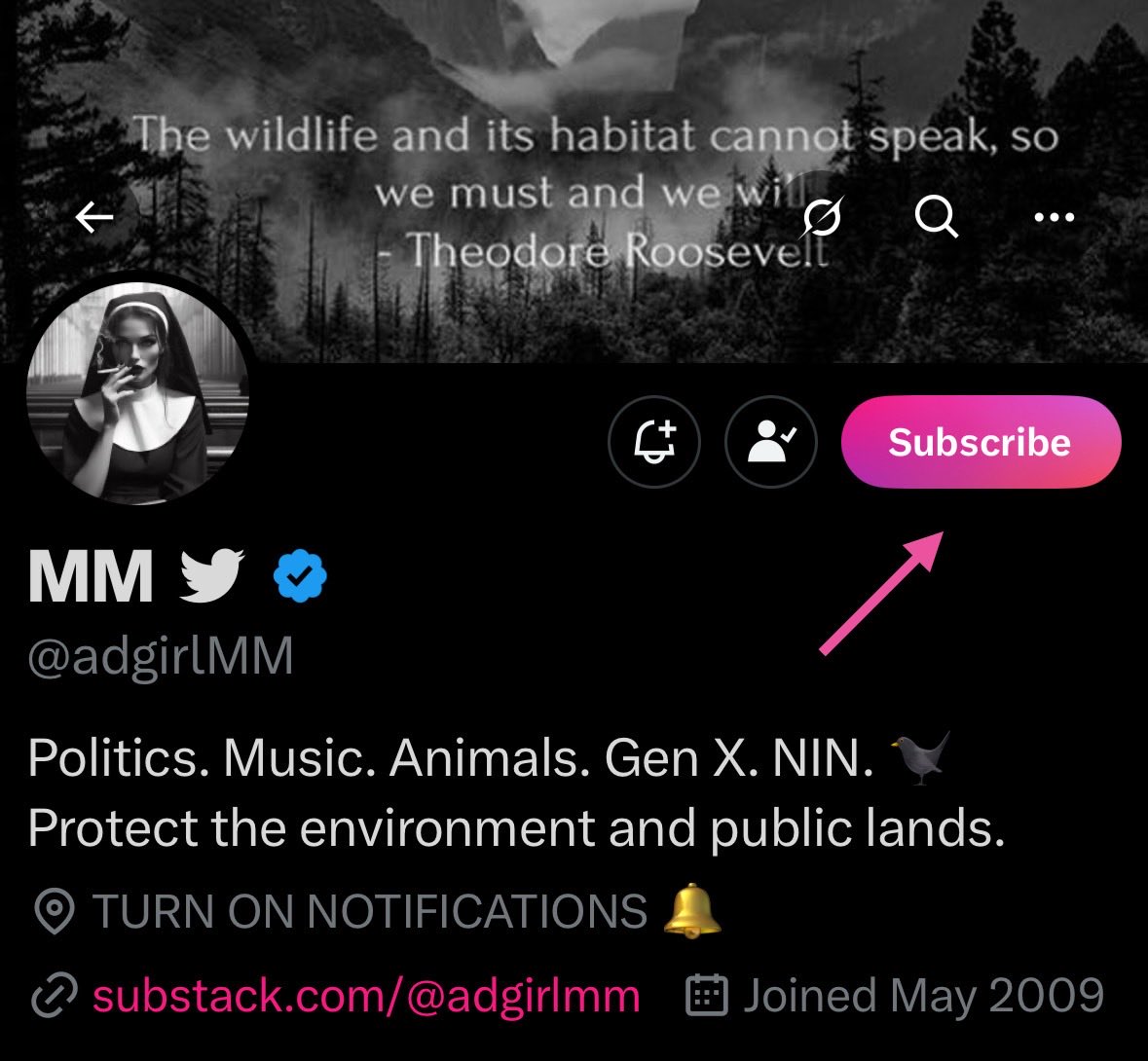 Tweet media one