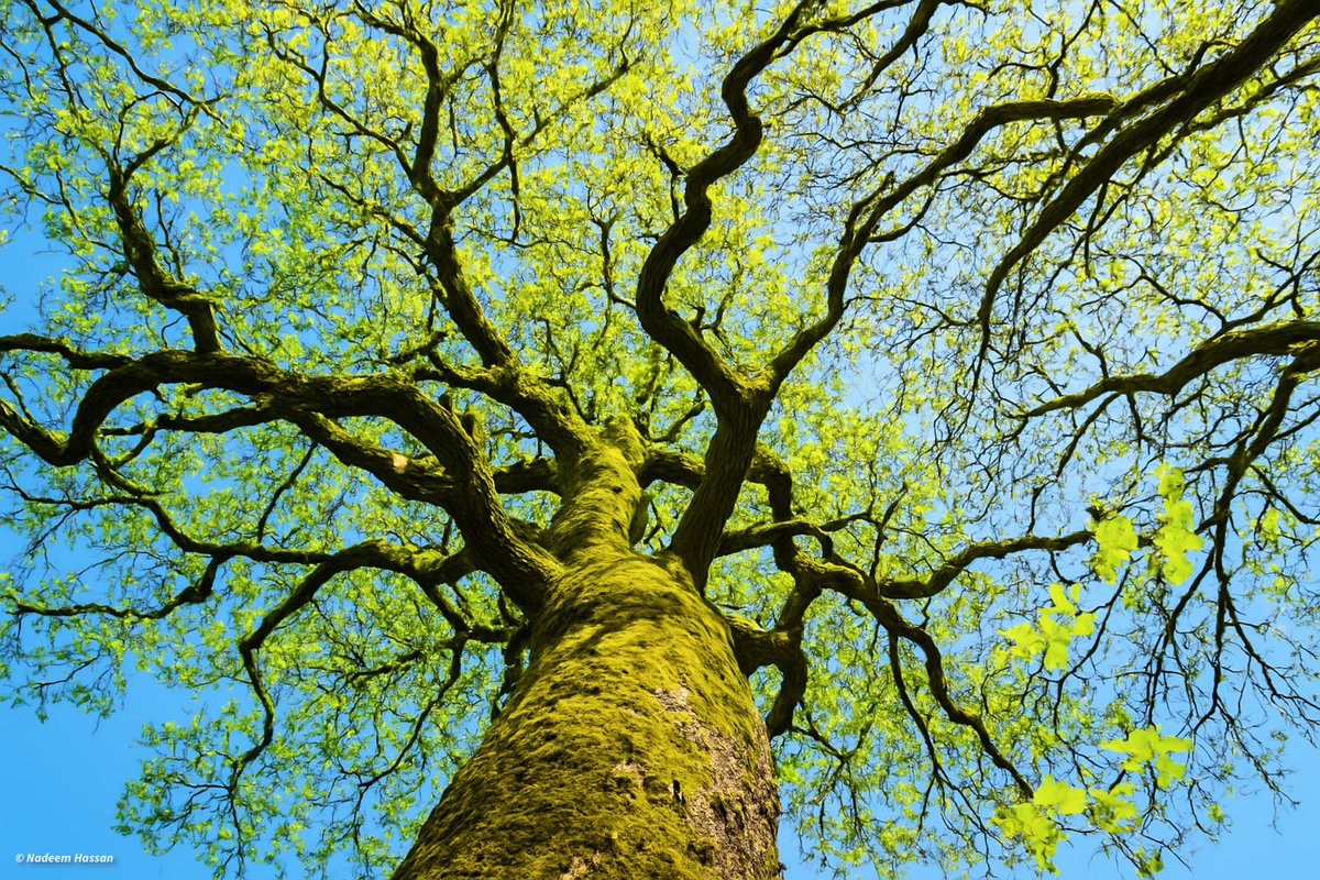 <a href="/earthcurated/">Earth</a> <a href="/CrispeThe/">TheCrispeOutdoors</a>