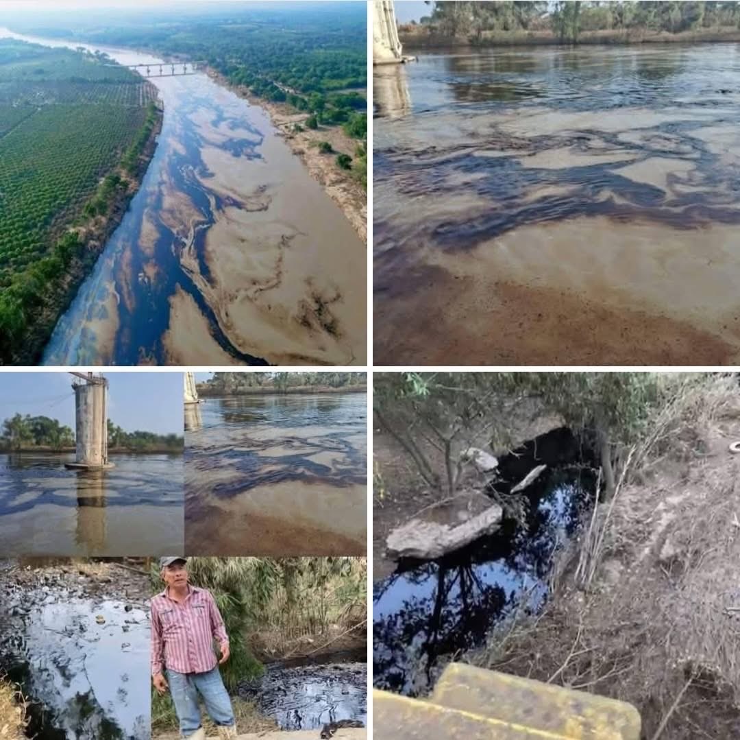 JJDiazMachuca's tweet image. En Palacio Nacional y el gobierno de Veracruz en silencio.
En #Xúchitl, municipio de #Álamo, una fuga del Poliducto #Naranjos–#PozaRica de #PEMEX dejó escapar hidrocarburo que ya llegó hasta el punto donde se capta el agua para #Tuxpan.
Las imágenes reales estremecen, el río…
