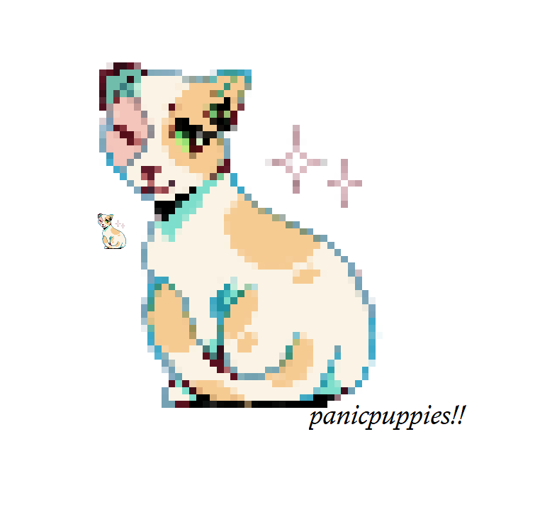 panicpuppies tweet picture
