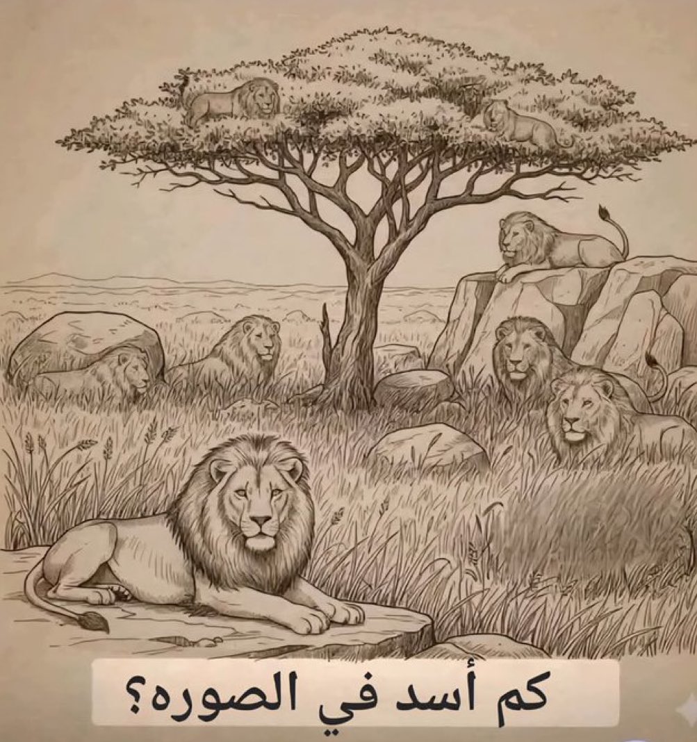 كم أسد موجود 🤔