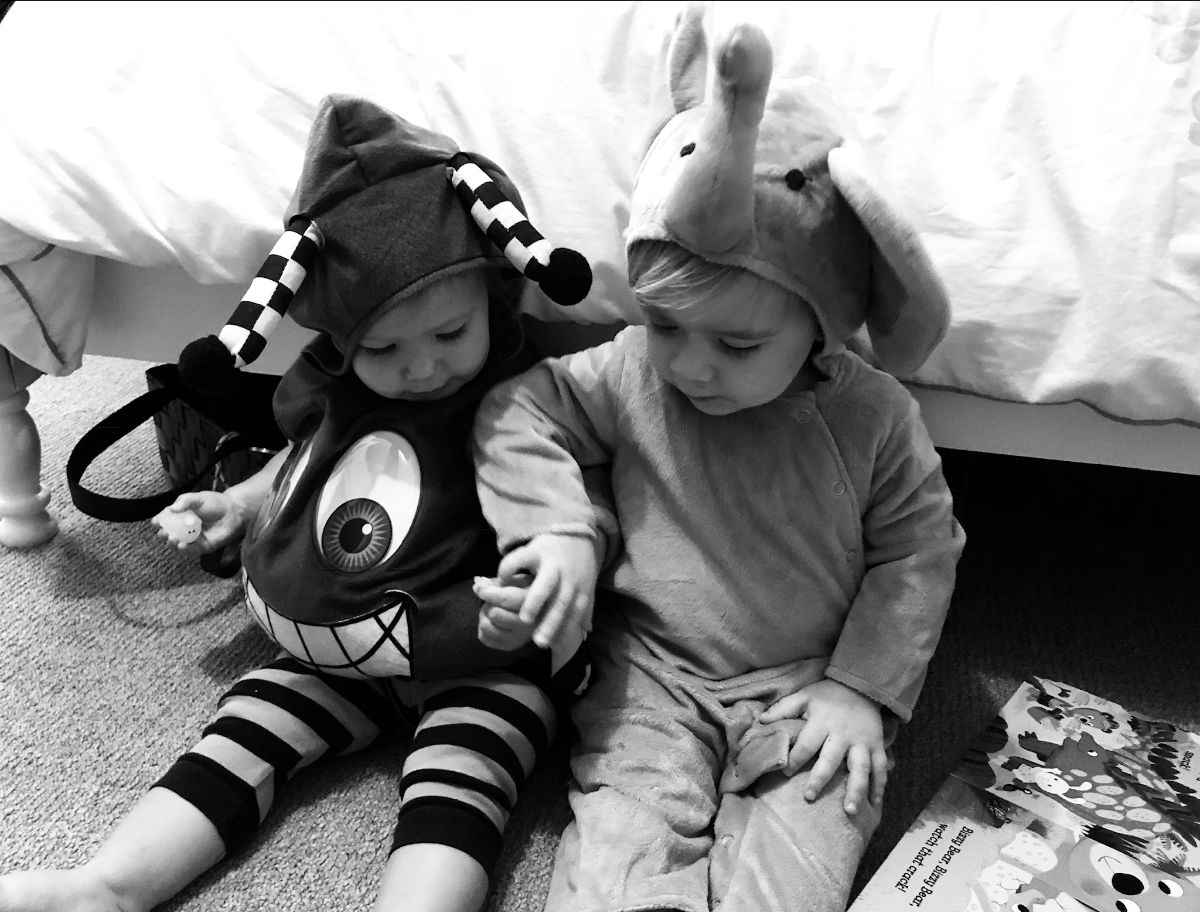 Sproutable tweet media