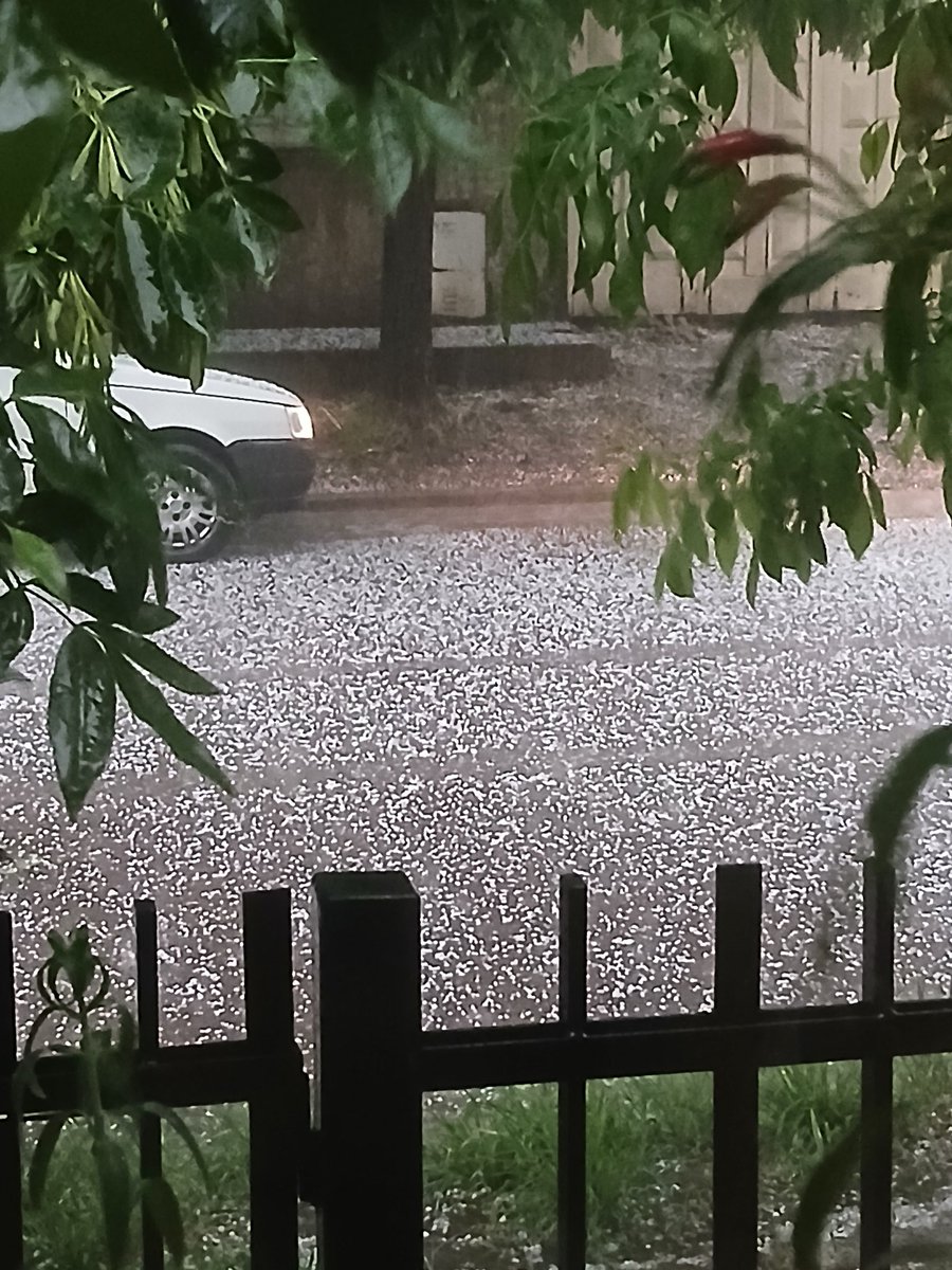 PatriciaNora7's tweet photo. Bahia Blanca
Cae la piedra 👇 https://t.co/cyfi2q5YsQ