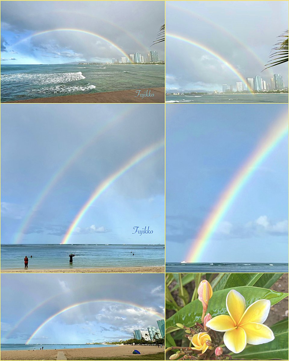 hawaiifujikko's tweet image. 🌈 Hawai’i 24-28℃
もう雨季かしらぁ~ 🌼ᵕ̤ᴗᵕ̤❀
💐𝐻𝒶𝓅𝓅𝓎 𝒹𝒶𝓎࿐𓏸𓐍𓇥