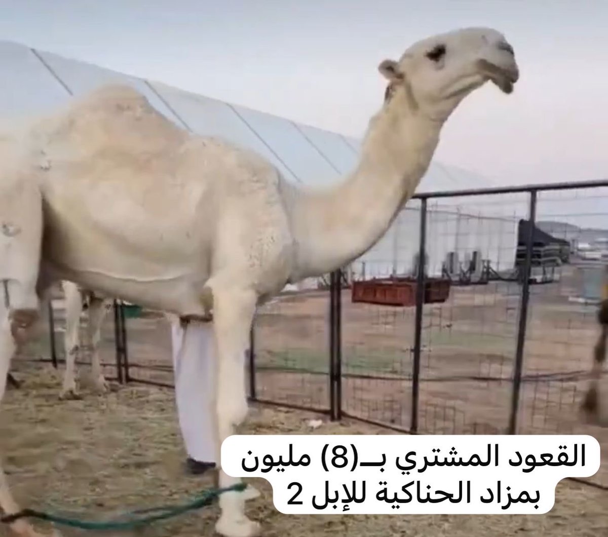 بندر الحربي | Bandar AlHarbi tweet media