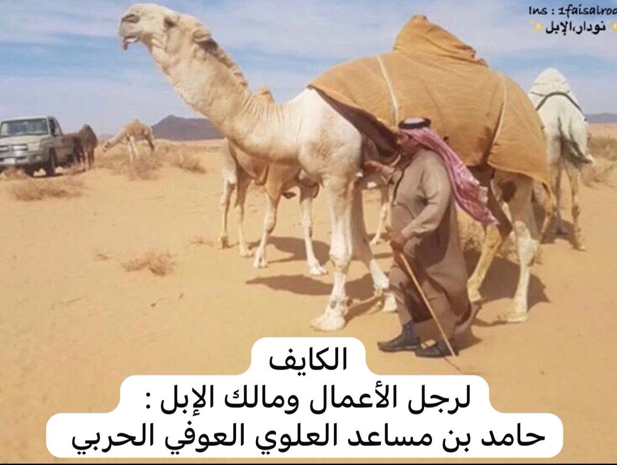 بندر الحربي | Bandar AlHarbi tweet media