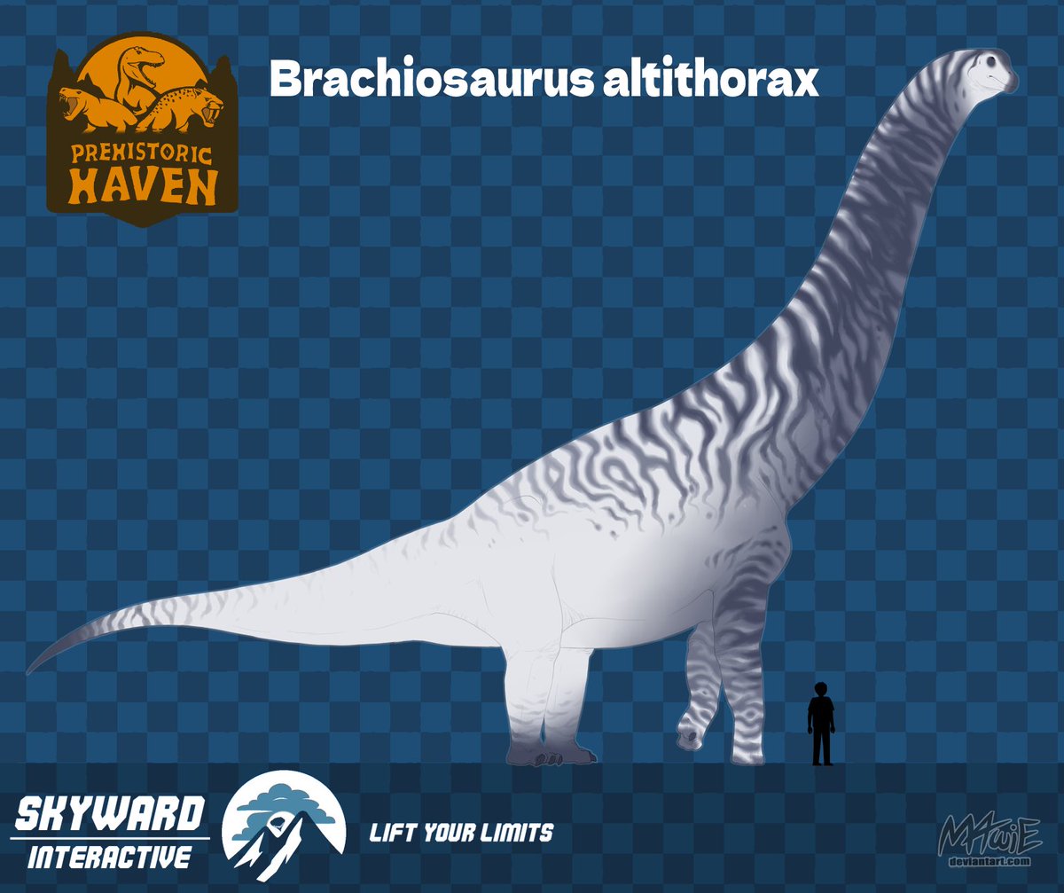 SkyWard Interactive tweet media