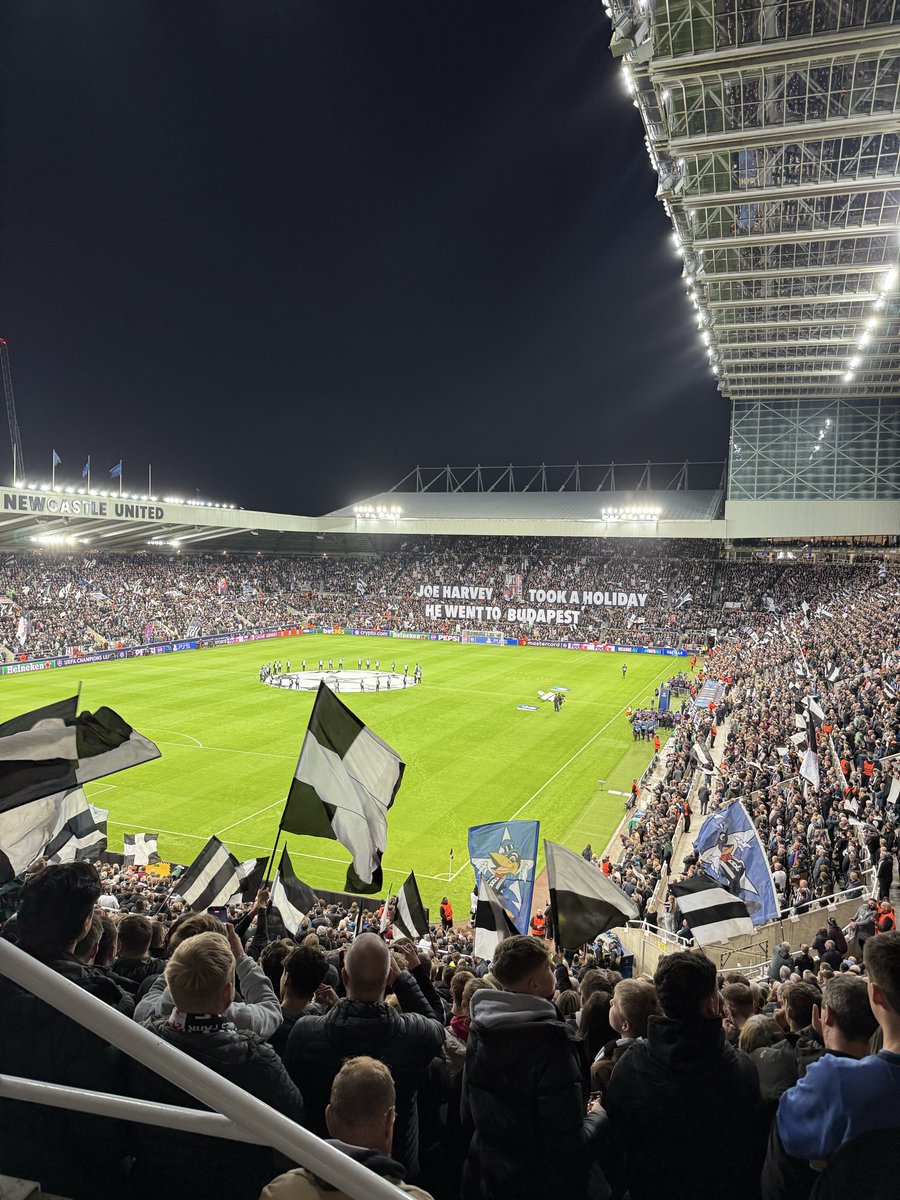 Jake Harbottle tweet media