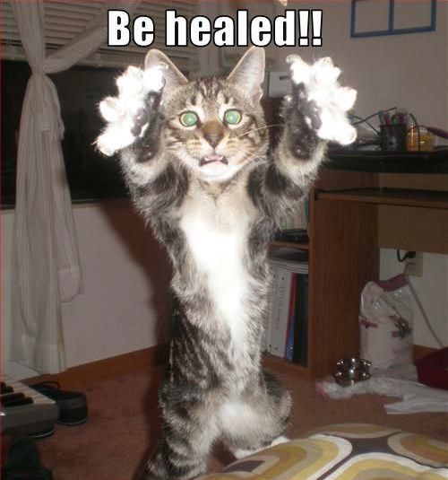 SamCryptoX's tweet photo. I am tired of fudders, bad runners, and low volume on Solana.

Let this cute cat heal the market and bring brack the trenches! https://t.co/TJxKmVqEPV