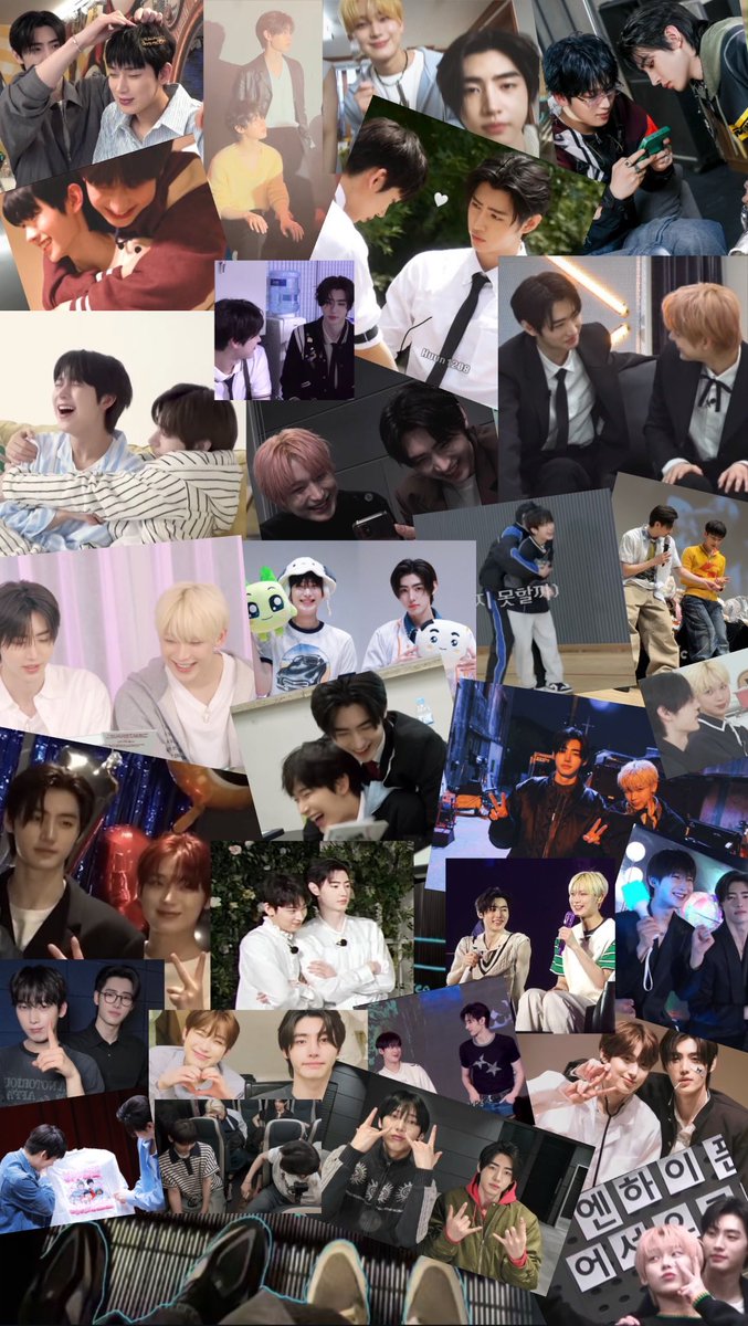 how a sunsunist sees the world