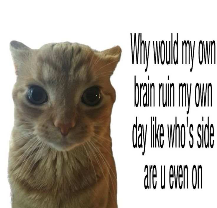 thesadbaby's tweet photo. https://t.co/NHQutUZiD2