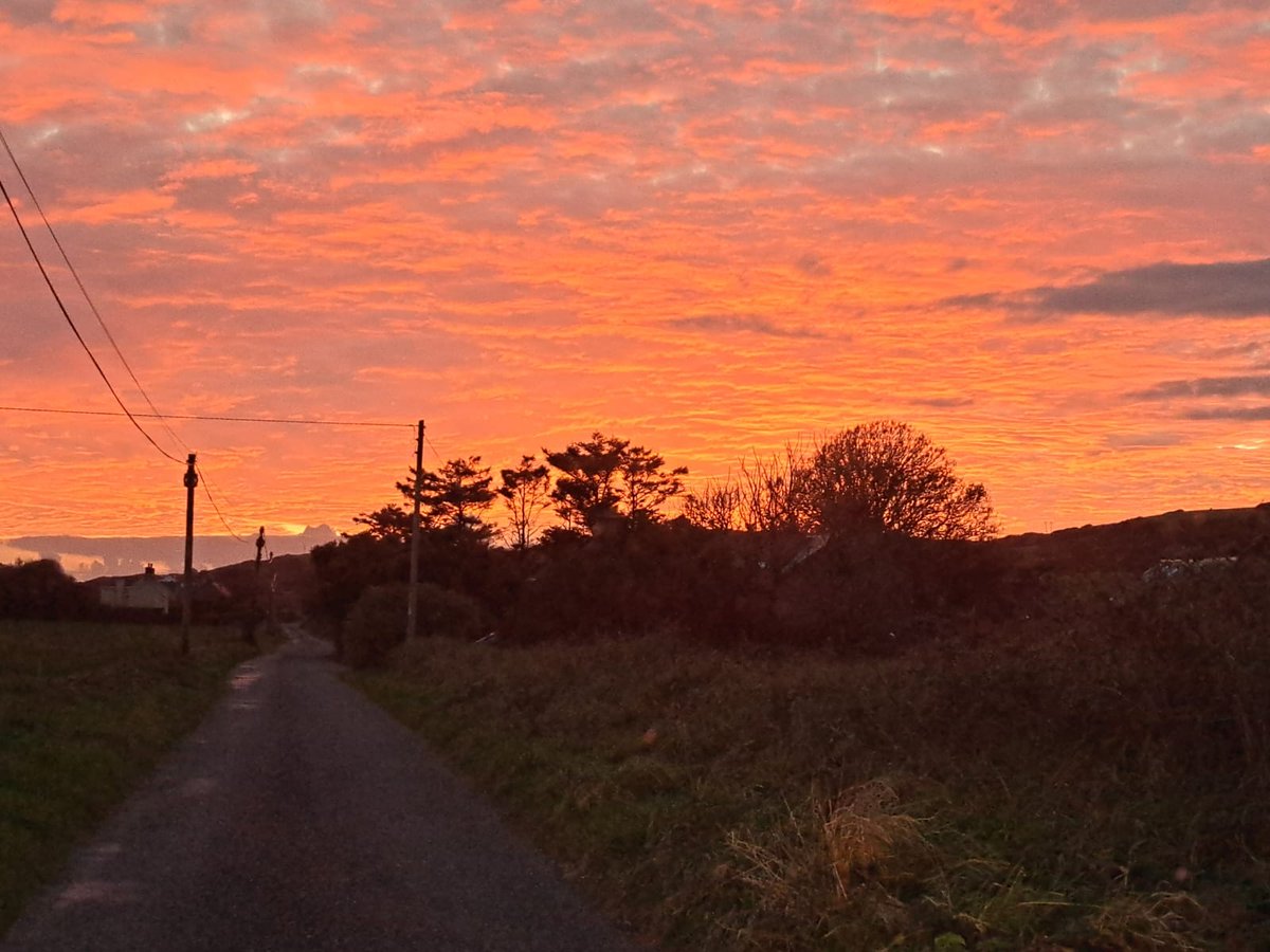Pink skies this evening