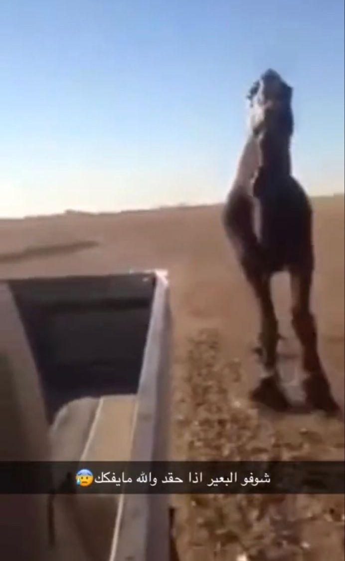 4 تغريدات على كونتي :