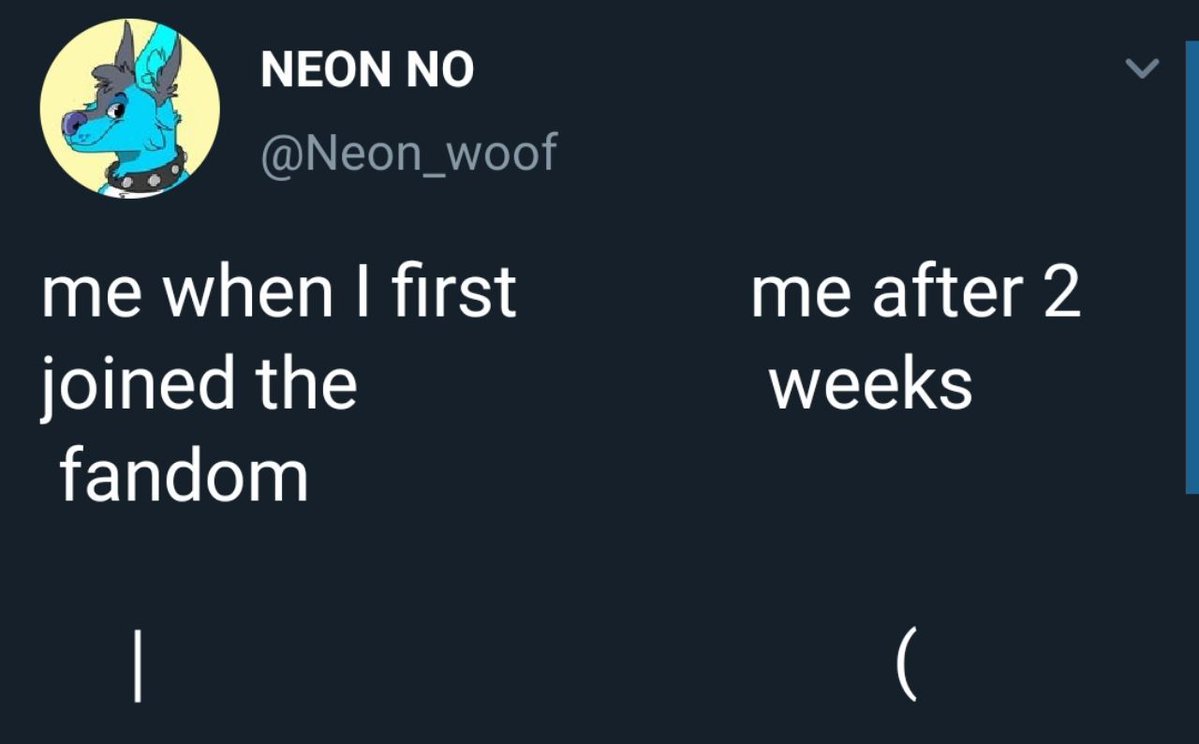 FurryMems's tweet image. 