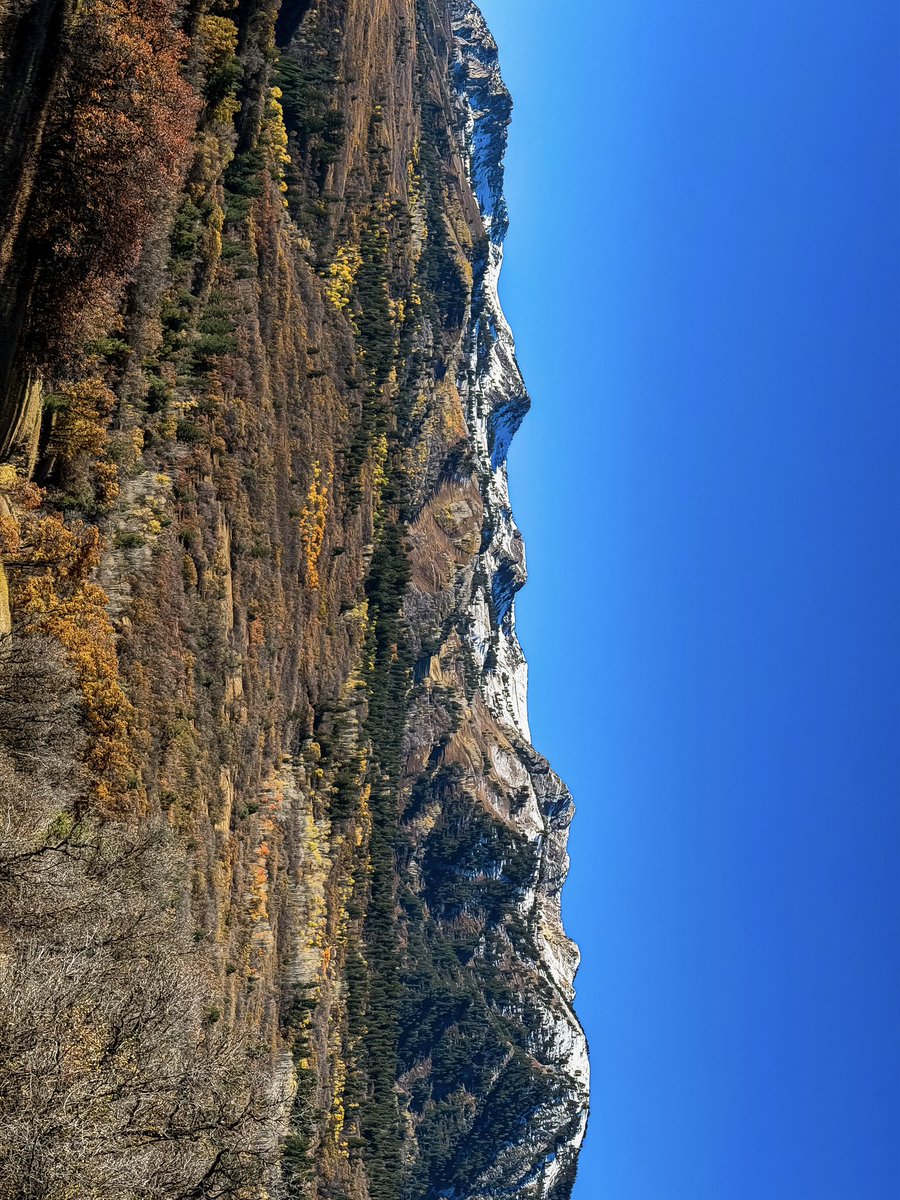 V_irvin_V's tweet image. Just another day