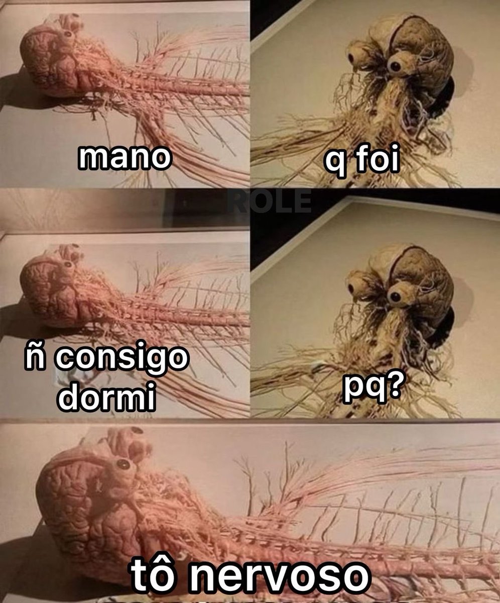 Shitpost só que de verdade (@shitpostverdade) on Twitter photo 