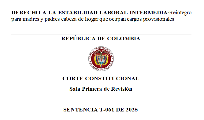 DERECHO A LA ESTABILIDAD LABORAL INTERMEDIA - REGLAS PARA OTORGAR PROTECCIÓN ESPECIAL A MADRES Y PADRES CABEZA DE HOGAR QUE OCUPAN CARGOS PROVISIONALES.

✍️ ¿DESEAS ESTAR ACTUALIZADO A DIARIO DE TODA LA JURISPRUDENCIA DEL PAIS? SUSCRIBETE 👉 wa.link/m97sbs